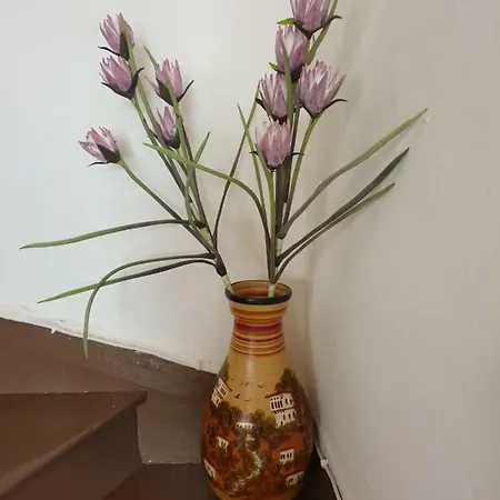 Magdalena's House شقة *