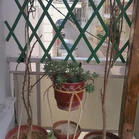 Magdalena's House Daire *