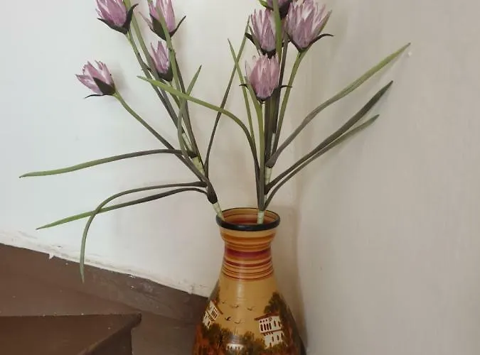 Magdalena's House Apartment *